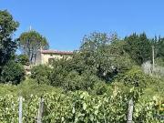 Les Salles de Castillon 33350 Achat / Vente maison 4...