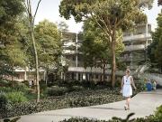 L'Essentiel accueille une véritable forêt privative...