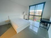 Level 2, W207.2/81 O'Connor Street, Chippendale NSW...