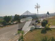 Level solid land plot up for grab