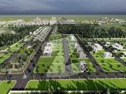 Level Sun Face Plot For Sale