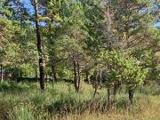 Levens 06670 Programme neuf terrain neuf à vendre