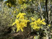 Lévignac Vente Terrain 31