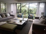 Lexington Central Park Bosque Real