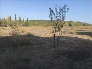 Lézignan la Cèbe 34120 Programme neuf terrain neuf à vendre