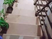 Liaquatabd c area near dhak khana nirala sweets Karachi...