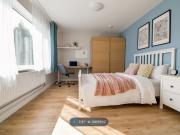 Lichen Green, Coventry CV4, 4 bed semi detached house to...