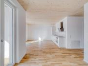 Lichtdurchflutete 1 Raum Wohnung im skandinavischem Stil