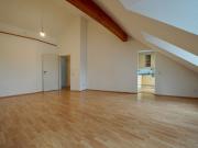 Lichtdurchflutete 2 Zimmer Wohnung mit Rheinblick und...