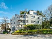 Lichtdurchflutete Parterre Wohnung in Zürich