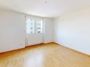 Sun drenched and cozy apartment