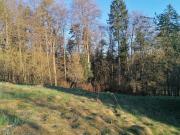 Altbestand Wohnhaus mit Lagerräumen und Wirtschaftsgebäude