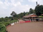 LIENZO CHARRO PEPE CASTRO EN VENTA