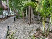 LIEVERTE. Departamento en Renta en SM 511, Benito...