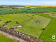 Lifestyle Property on Approx. 25 Acres Space, Shedding &...