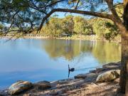 Light and bright lower duplex in a walk to everywhere...