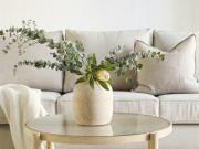 LIGHT FILLED LARGE 1 BEDROOM IN TREELINED LOCATION