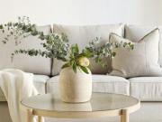 LIGHT FILLED LARGE 1 BEDROOM IN TREELINED LOCATION