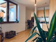 Light flooded, spacious penthouse in Berlin Mitte,...
