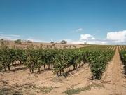 Lignan sur Orb 34490 Programme neuf terrain neuf à vendre