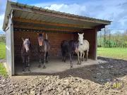 Ligné 44850 Achat / Vente maison 5 pièces t5 au dernier...