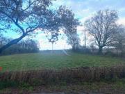 Ligné Vente Terrain 44