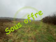 Lignerolles Vente Terrain 36