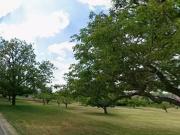 Lignières de Touraine 37130 Programme neuf terrain neuf...