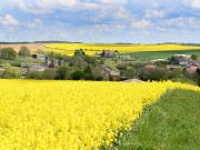 Lignières de Touraine Vente Terrain 37