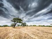 Ligueil 37240 Programme neuf terrain neuf à vendre