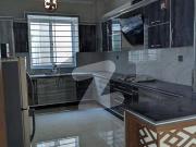 Like Brand New House