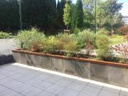 Lille Location Appartement 59