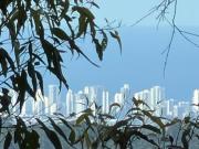 LIMITED LUSH LAND SPRINGBROOK