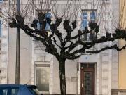 Limoges Vente Immeuble 87