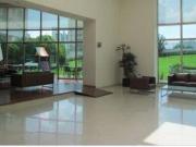 Limoneros Jesus del monte