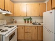 Lincoln Park Tower 1 Bedroom Apartment for Rent at 1330...