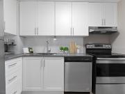 Lincoln Park Tower 2 Bedroom Apartment for Rent at 1330...