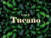 Linda Casa em Morada de Laranjeiras â Sofisticação e... Linda Casa em Morada de Laranjeiras â Sofisticação e...