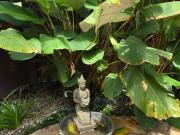 Linda casa na Ressaca: com 03 dorms, sendo 01 suíte, com...