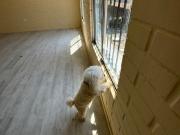 LINDA CASA, REMODELADA, CERCA DE TODO