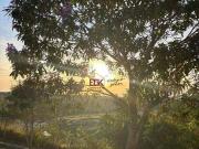 linda chàcara a venda com árvores frutífera, agua e energia