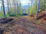EN VENTA Lindas parcelas entre Villarrica y Lican Ray