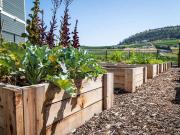 Lindgren Manor 2 Bedroom Apartment for Rent at 420...