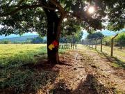 Lindíssimo Rancho à venda em Carmo do Rio Claro, Minas...