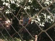 Lindo apto de 48 m², Conjunto Habitacional Jova Rural,...