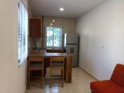 LINDO DEPTO. AMUEBLADO Y EQUIPADO PARA EJECUTIVO HOMBRE...