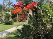 Lindo Dpto. en condominio Grocio Prado, chincha 2...