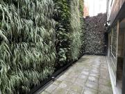 Lindo garden house con amplia terraza en la Condesa