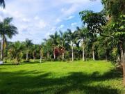 Lindo Sítio a venda em Pindamonhangaba