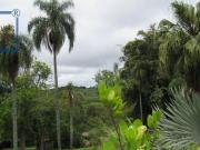 Lindo Sitio em São Roque com 48.000 m2